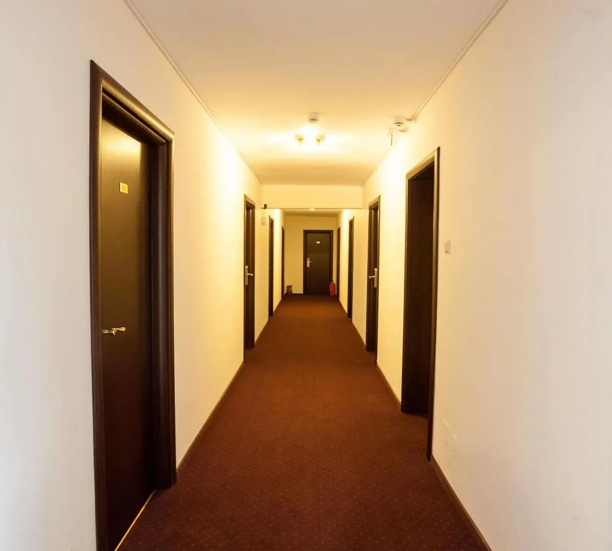 Hotel Nelisse 布加勒斯特
